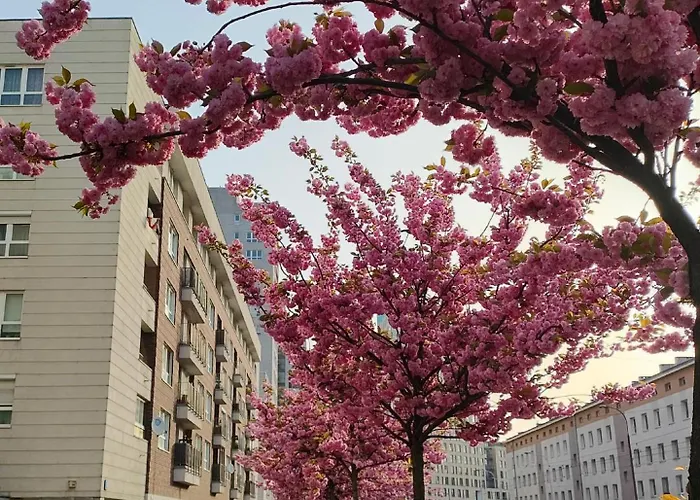 Apartment Totutotam *