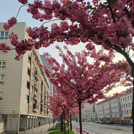 Apartamento Totutotam *